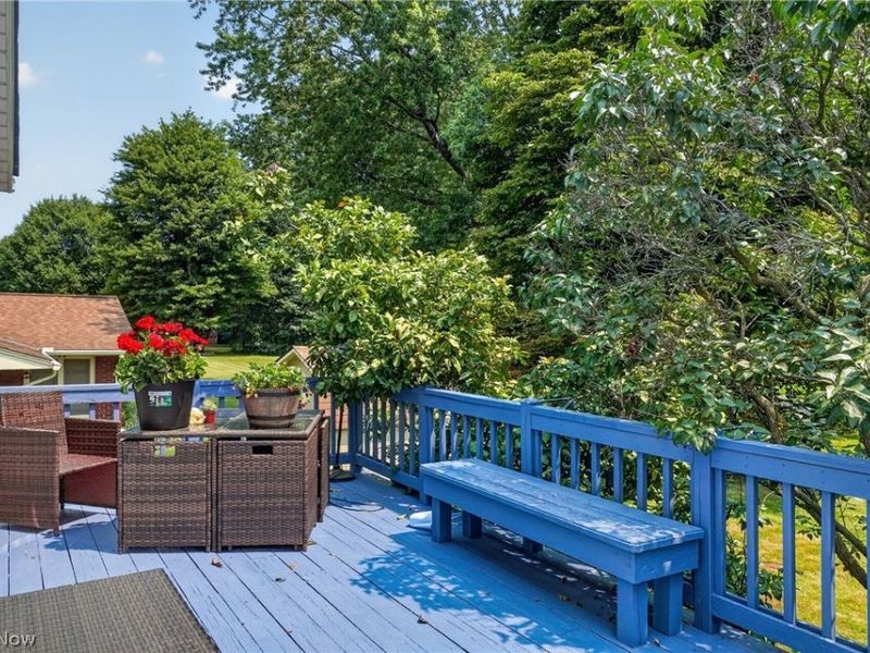 5641 Meister Road, Mentor, OH 44060 Photo 38