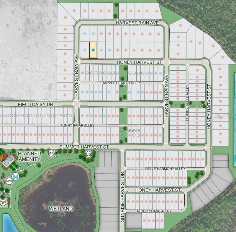 15997 Honey Harvest Street , Winter Garden, FL 34787 Photo