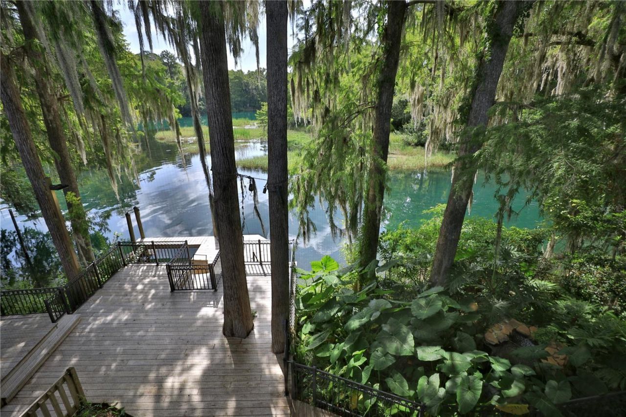 11685 E Blue Cove Drive, Dunnellon, FL 34432 Photo
