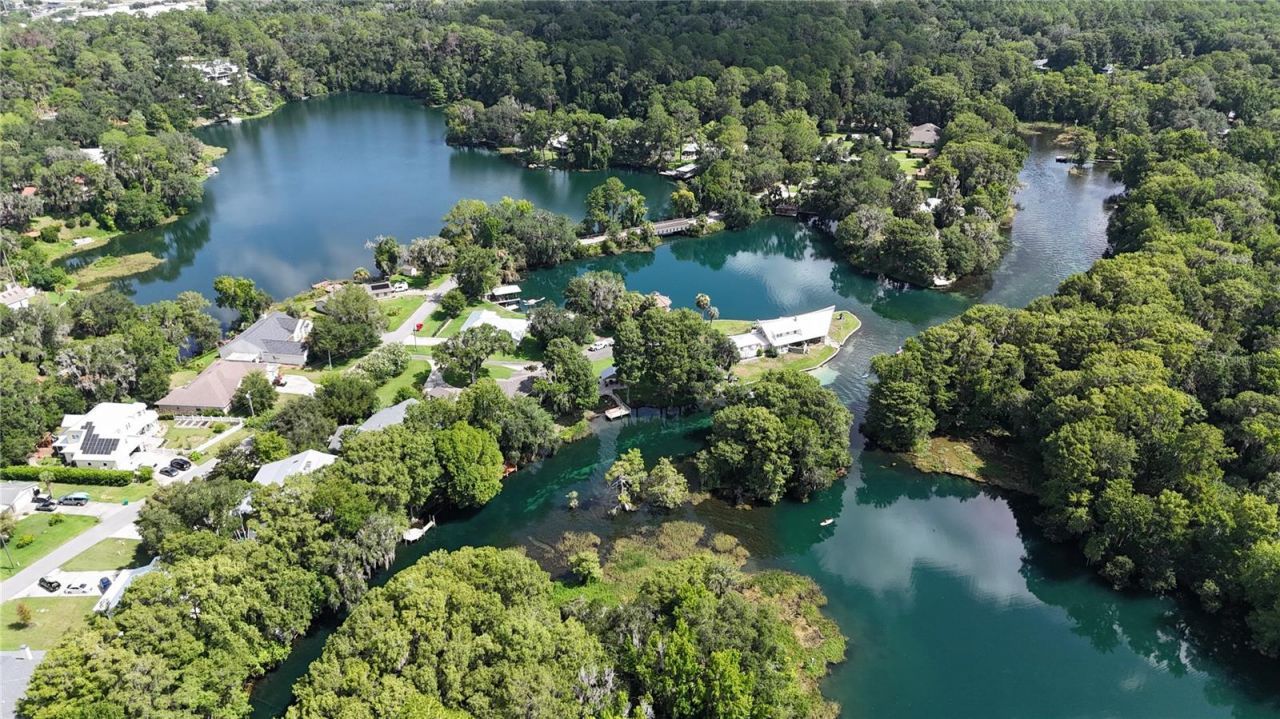 11685 E Blue Cove Drive, Dunnellon, FL 34432 Photo