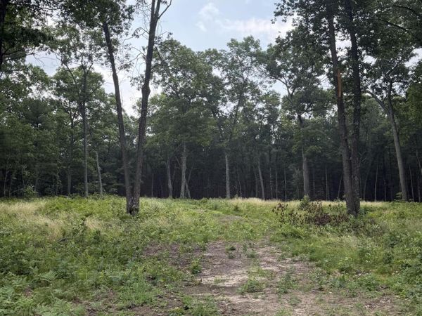 1099 Chicago Drive, Unit Lot 20, Whitehall, MI 49461