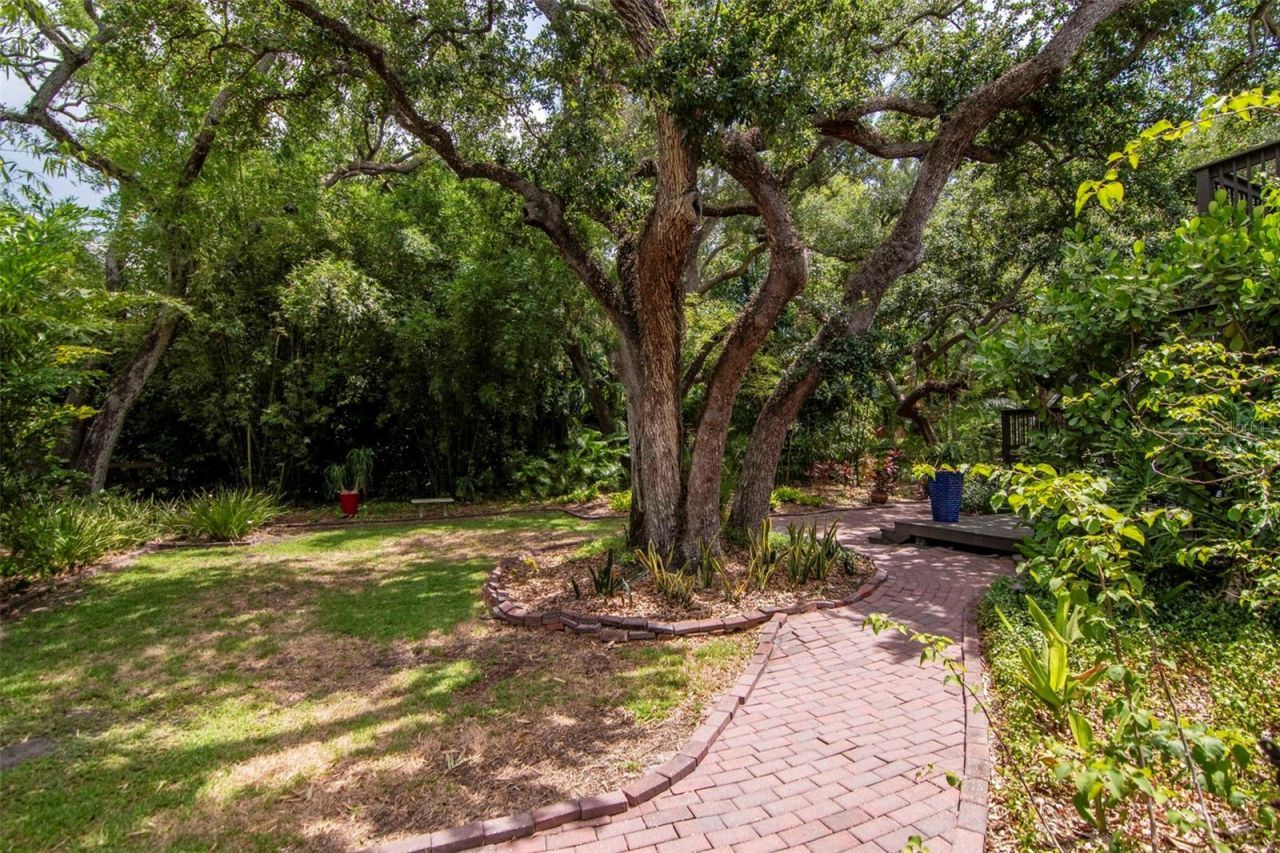 2514 W Conley Avenue, Tampa, FL 33611 Photo