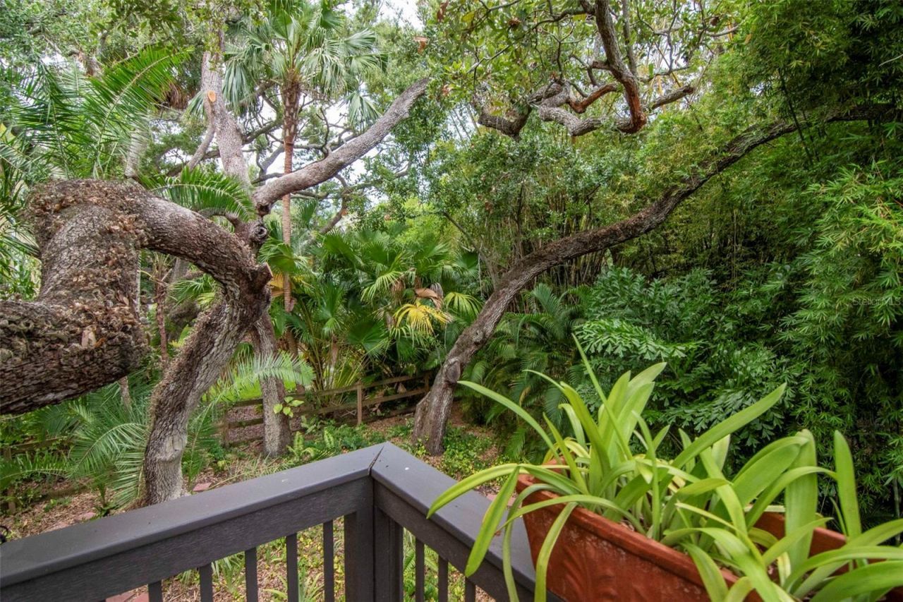 2514 W Conley Avenue, Tampa, FL 33611 Photo
