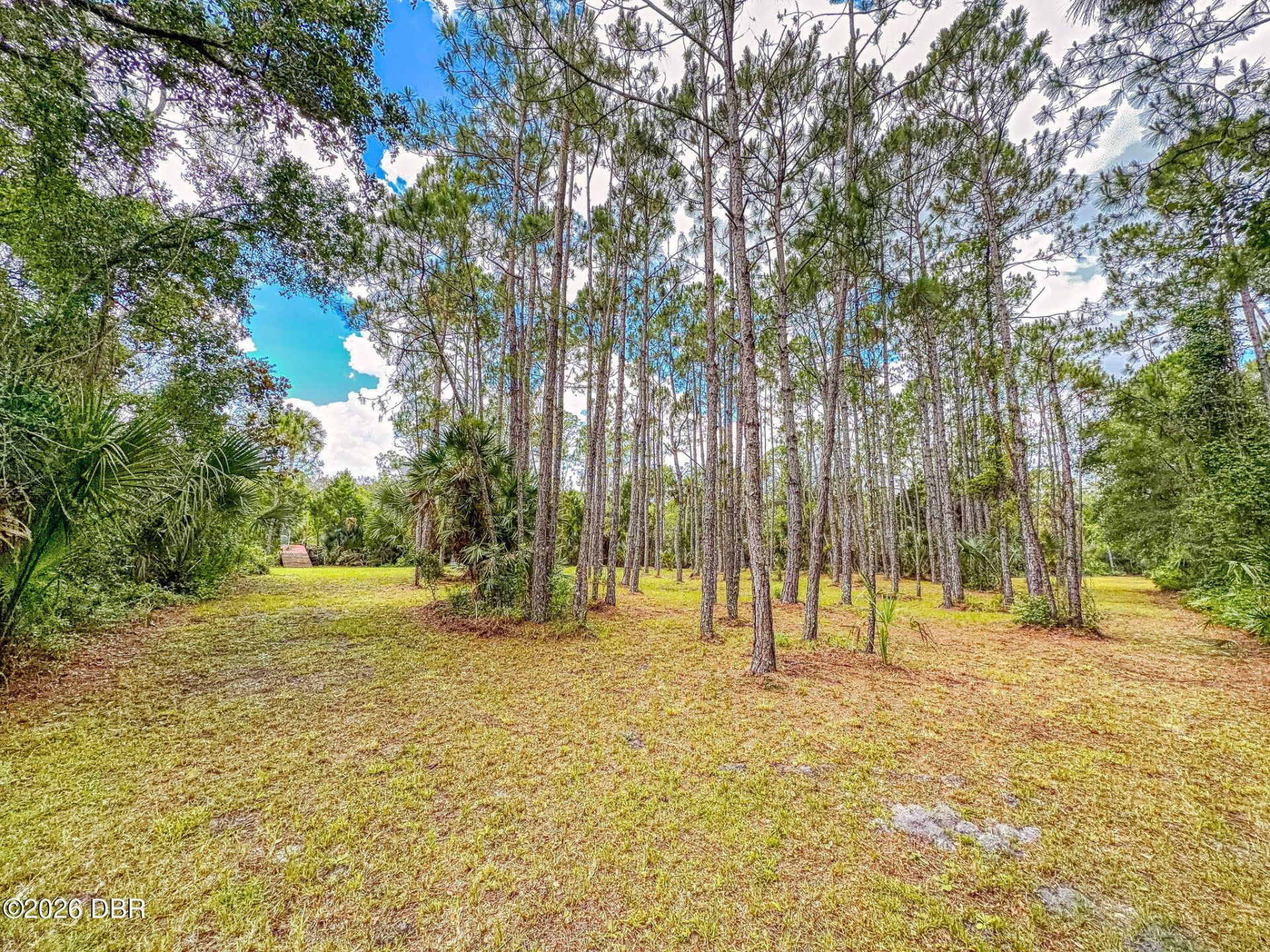 1205 Williams Road, New Smyrna Beach, FL 32168 Photo