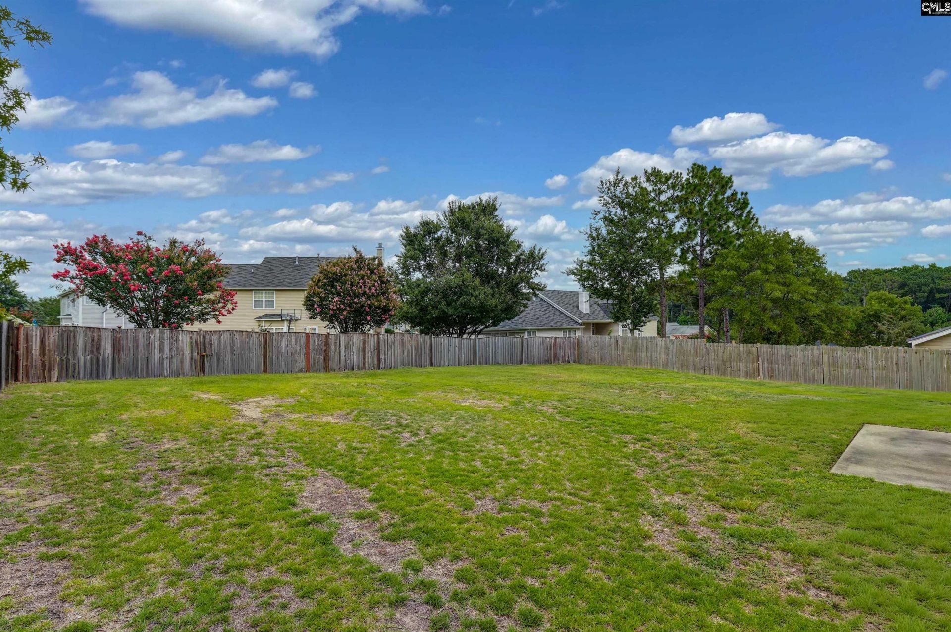 238 Longtown Place Drive  Photo 16