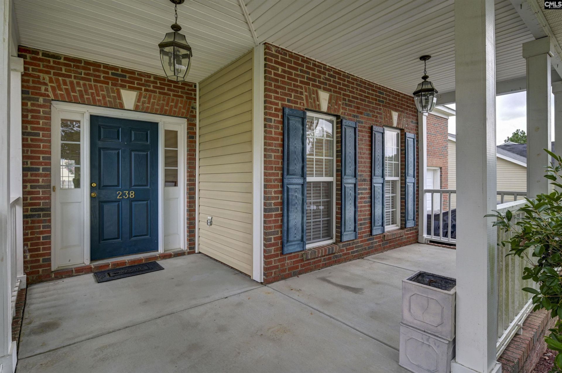 238 Longtown Place Drive  Photo 20