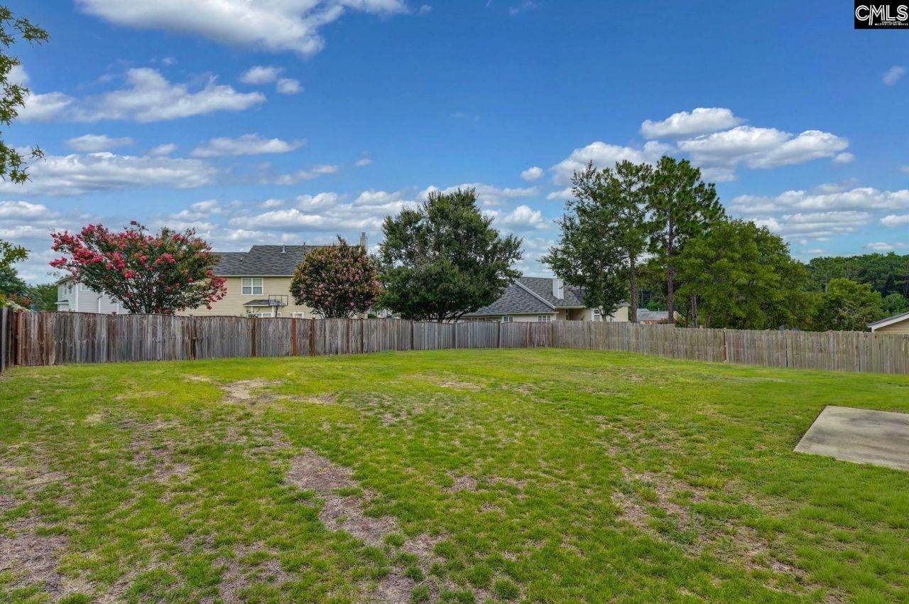 238 Longtown Place Drive  Photo 40