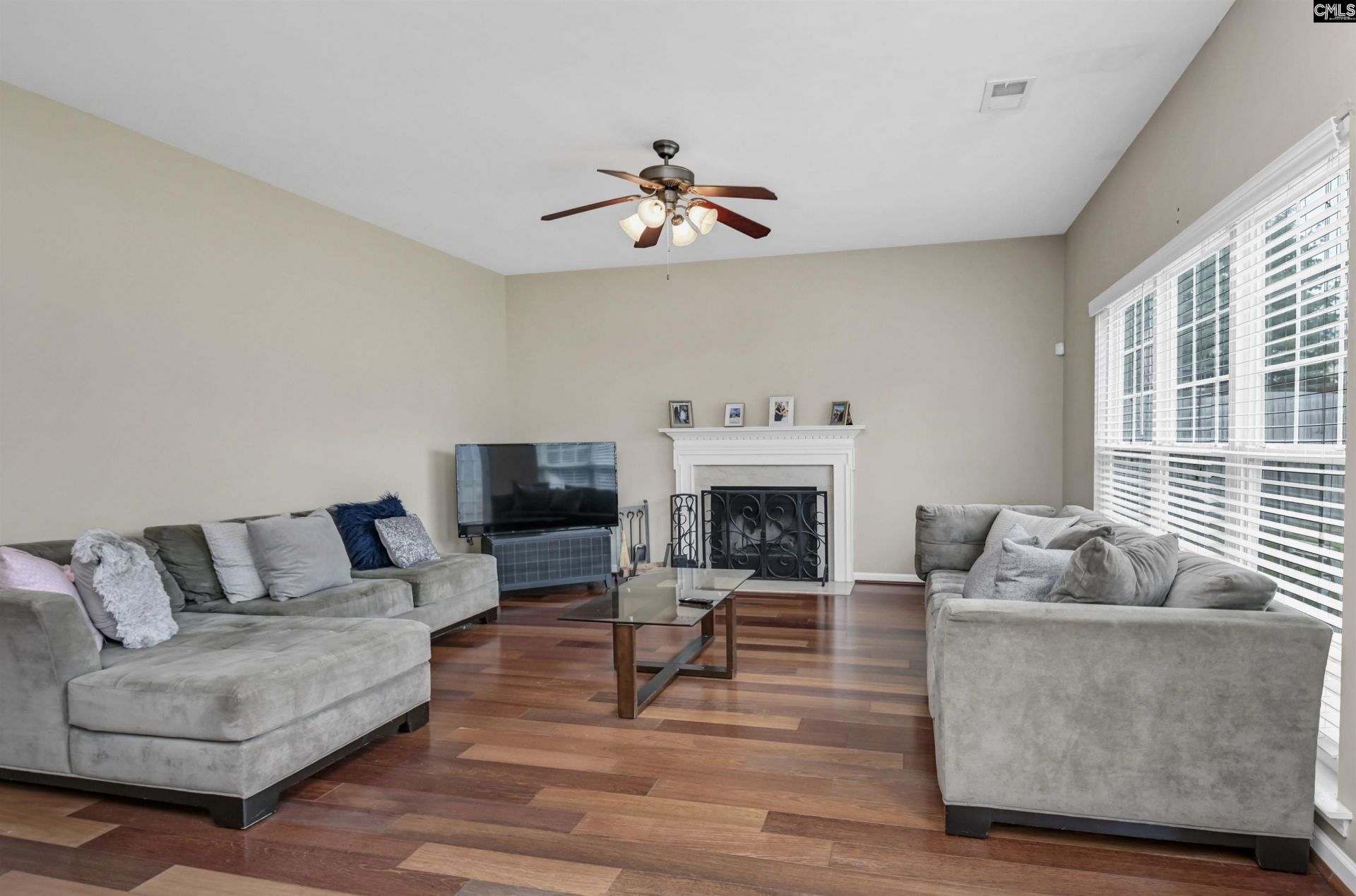 238 Longtown Place Drive  Photo 5