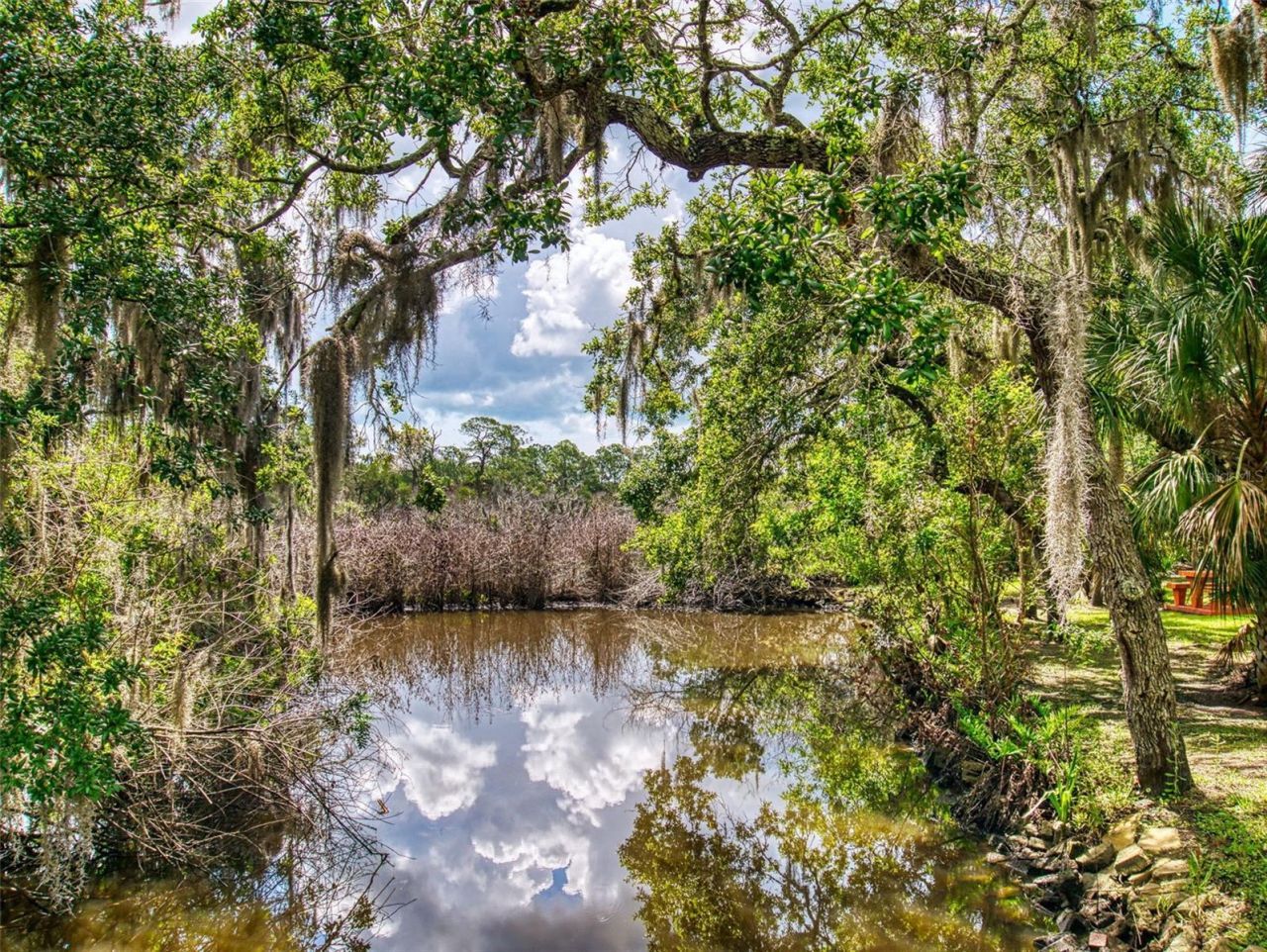 1205 Williams Road, New Smyrna Beach, FL 32168 Photo
