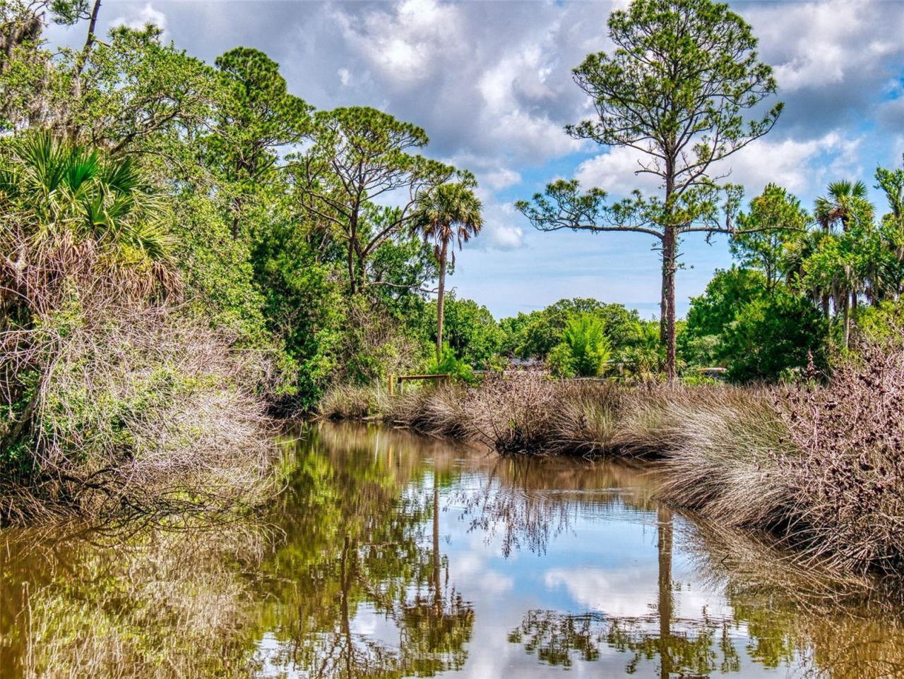 1205 Williams Road, New Smyrna Beach, FL 32168 Photo