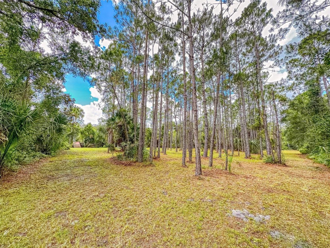 1205 Williams Road, New Smyrna Beach, FL 32168 Photo
