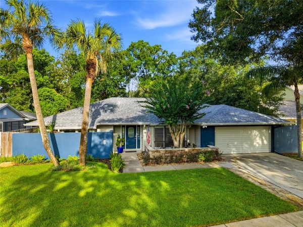 15908 HAMPTON VILLAGE DRIVE , TAMPA, FL 33618