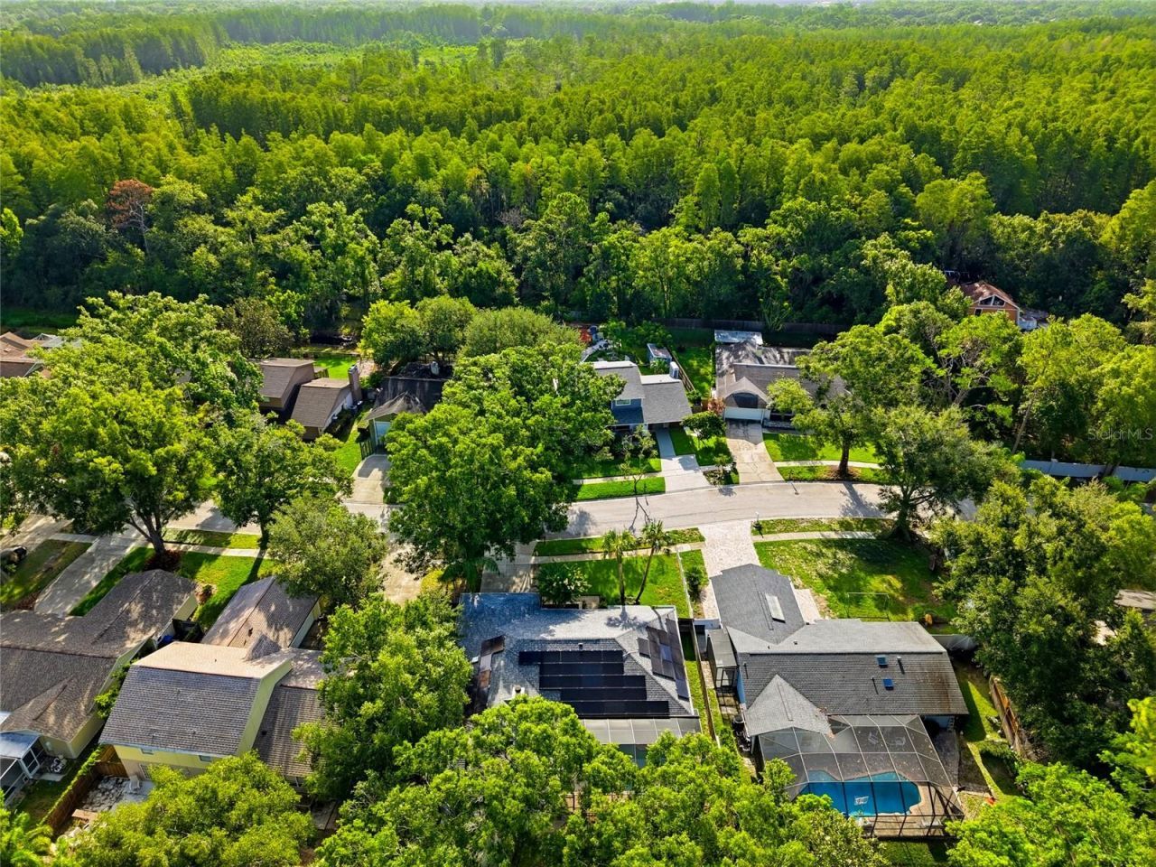 15908 Hampton Village Drive , Tampa, FL 33618 Photo