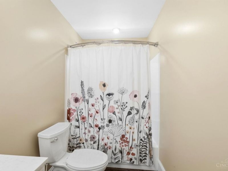 2931 Cleinview Avenue, Cincinnati, OH 45206 Photo 48
