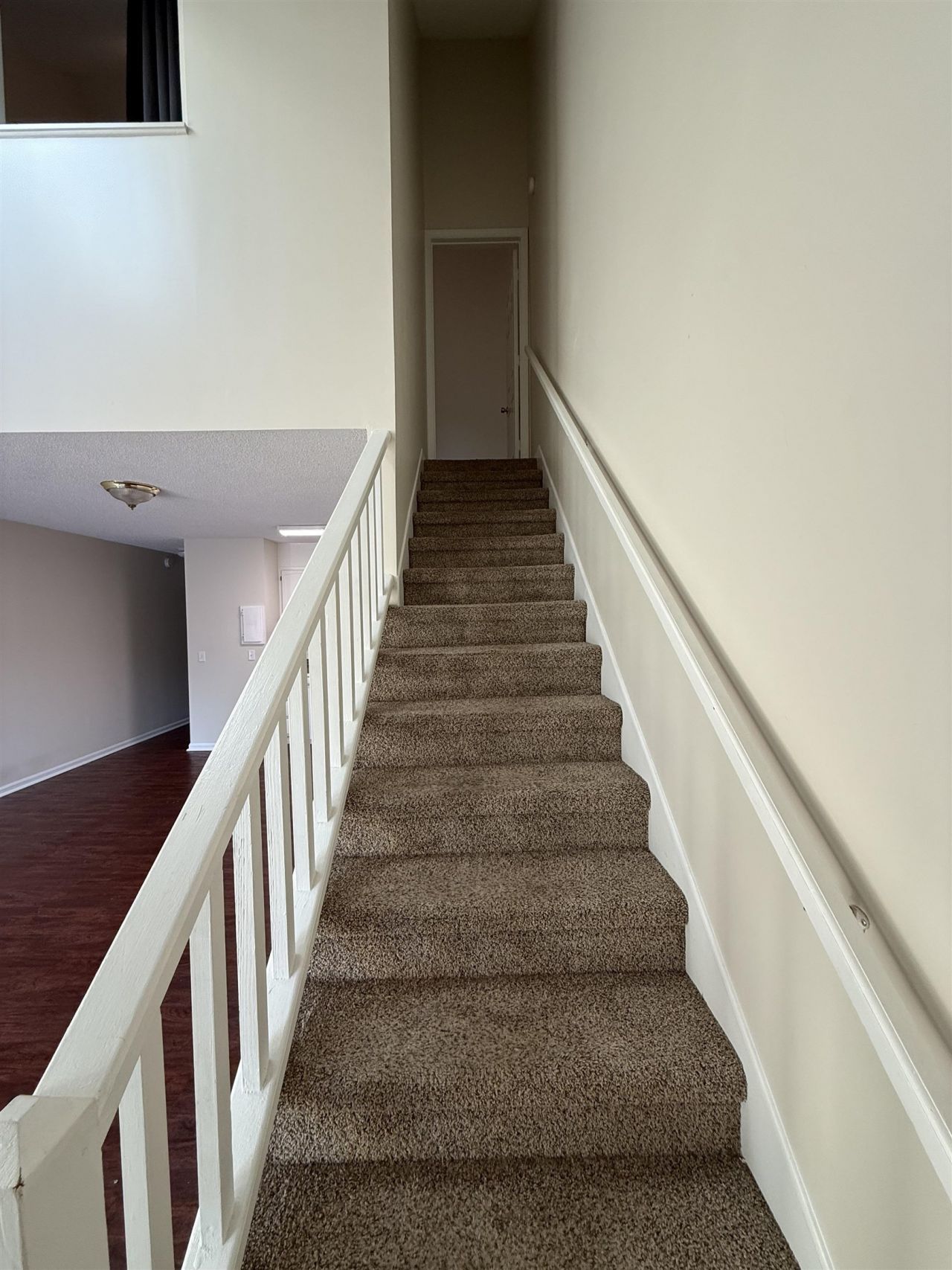411 Cambridge Circle Photo 7