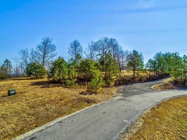 Lot 23 County Road 767, Cedar Bluff, AL 35959