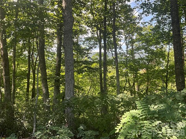 Lot 67 TreeTops Lane , Lake Lure, NC 28746