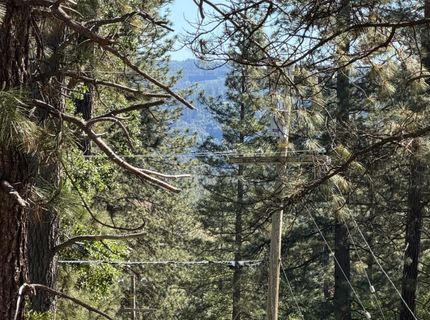 645 W Rigby Ln, Applegate, CA 95703 Photo
