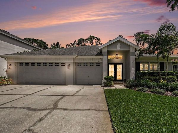 10617 WEYBRIDGE DRIVE, TAMPA, FL 33626