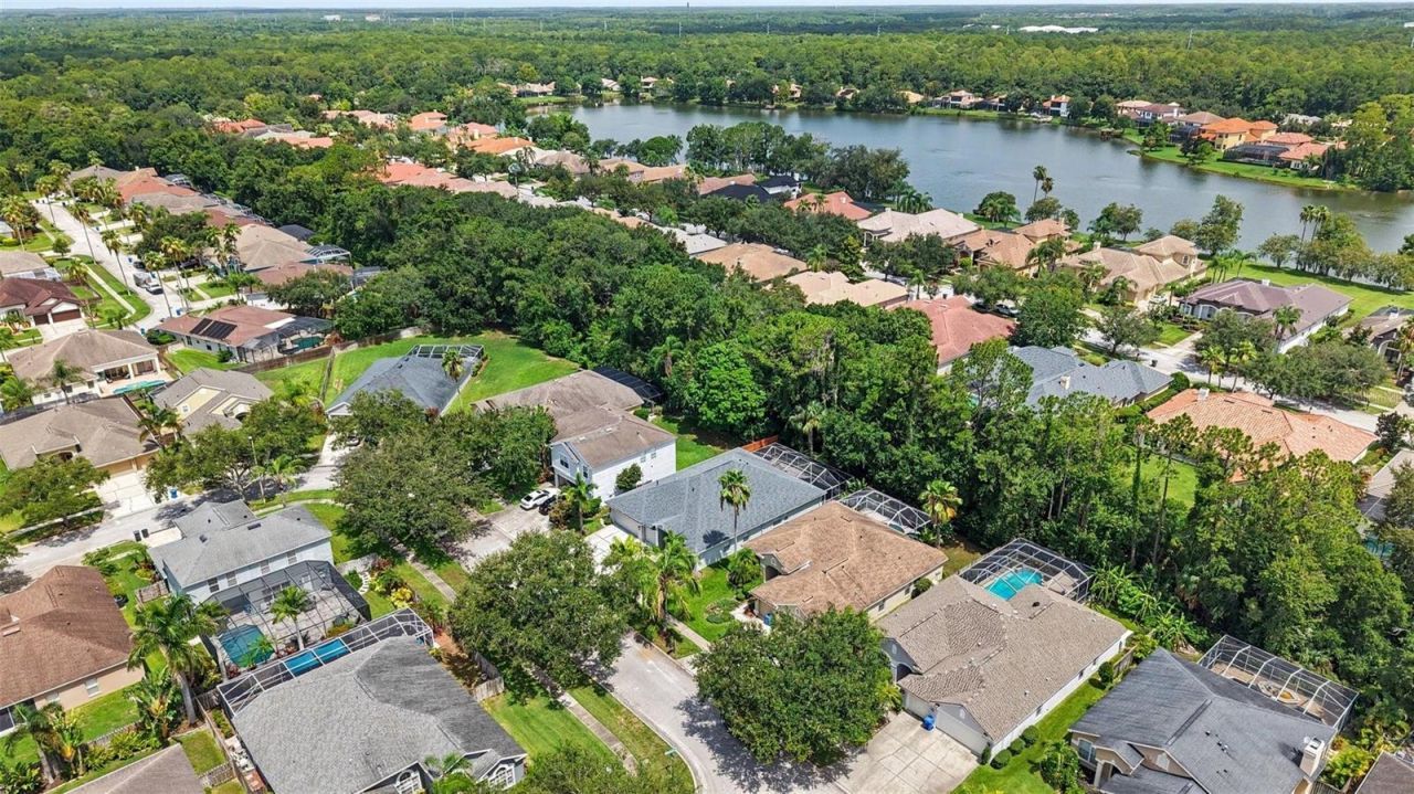 10617 Weybridge Drive, Tampa, FL 33626 Photo