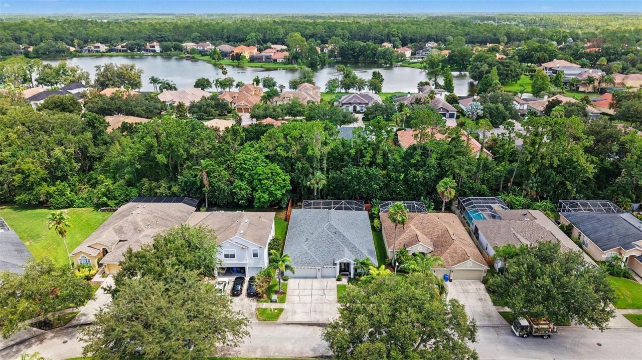 10617 Weybridge Drive, Tampa, FL 33626 Photo