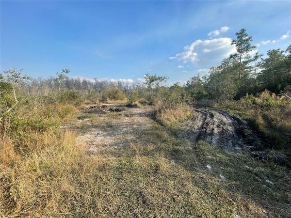 CONCORD ROAD , ST CLOUD, FL 34773
