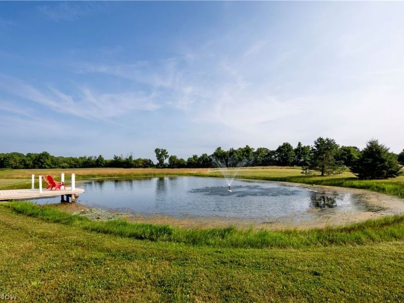 12725 Lovers Lane, Medina, OH 44275 Photo 4