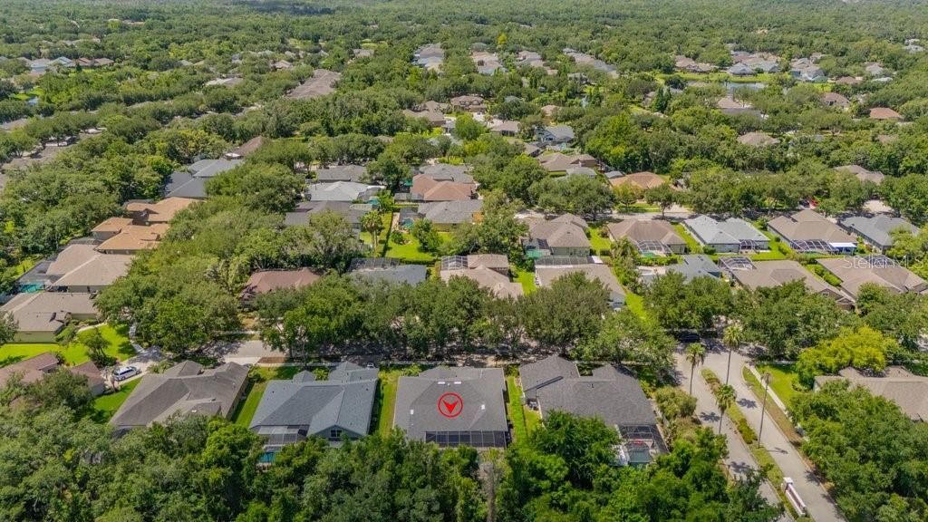 5967 Jaegerglen Drive , Lithia, FL 33547 Photo
