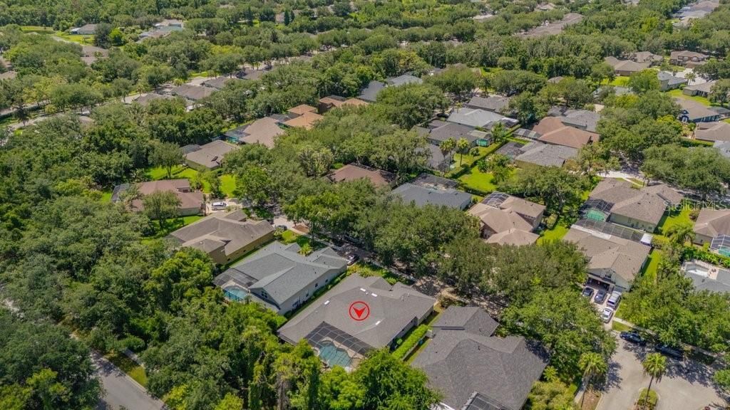 5967 Jaegerglen Drive , Lithia, FL 33547 Photo