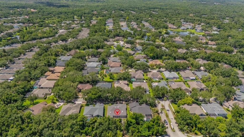 5967 Jaegerglen Drive , Lithia, FL 33547 Photo