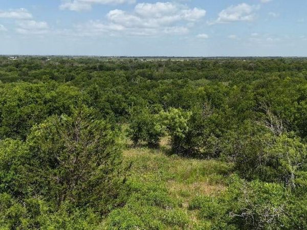 0 (OFF) HCR 3255 , Mount Calm, TX 76673