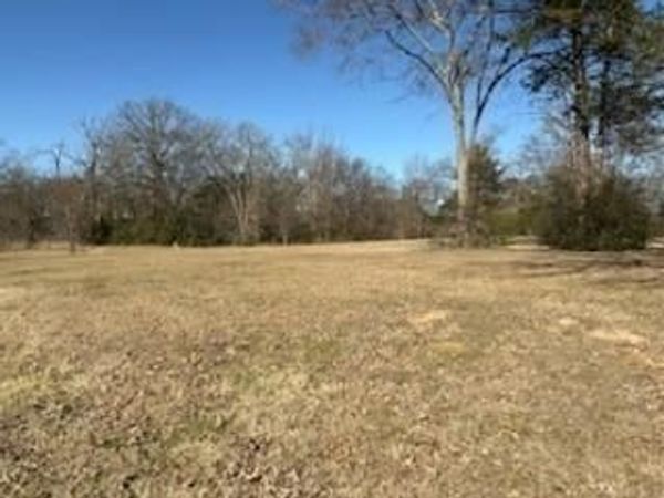00 S FM 314 Highway, Van, TX 75790