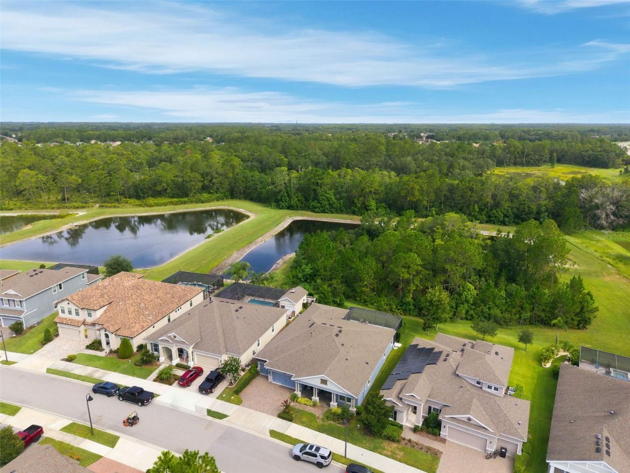 4263 Woodland Retreat Boulevard, New Port Richey, FL 34655 Photo