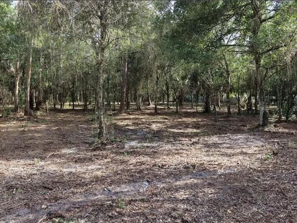 824 Woodland BLVD , CLEWISTON, FL 33440