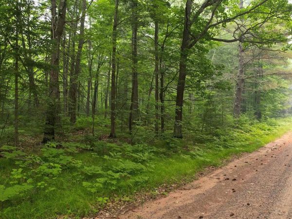 TBD N Loop Rd, Drummond, WI 54832