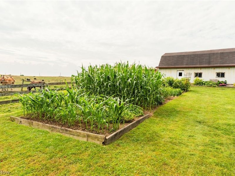 6520 County Road 77, Millersburg, OH 44654 Photo 50