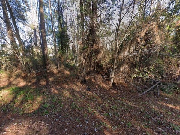110 PAMELA DRIVE , SATSUMA, FL 32189