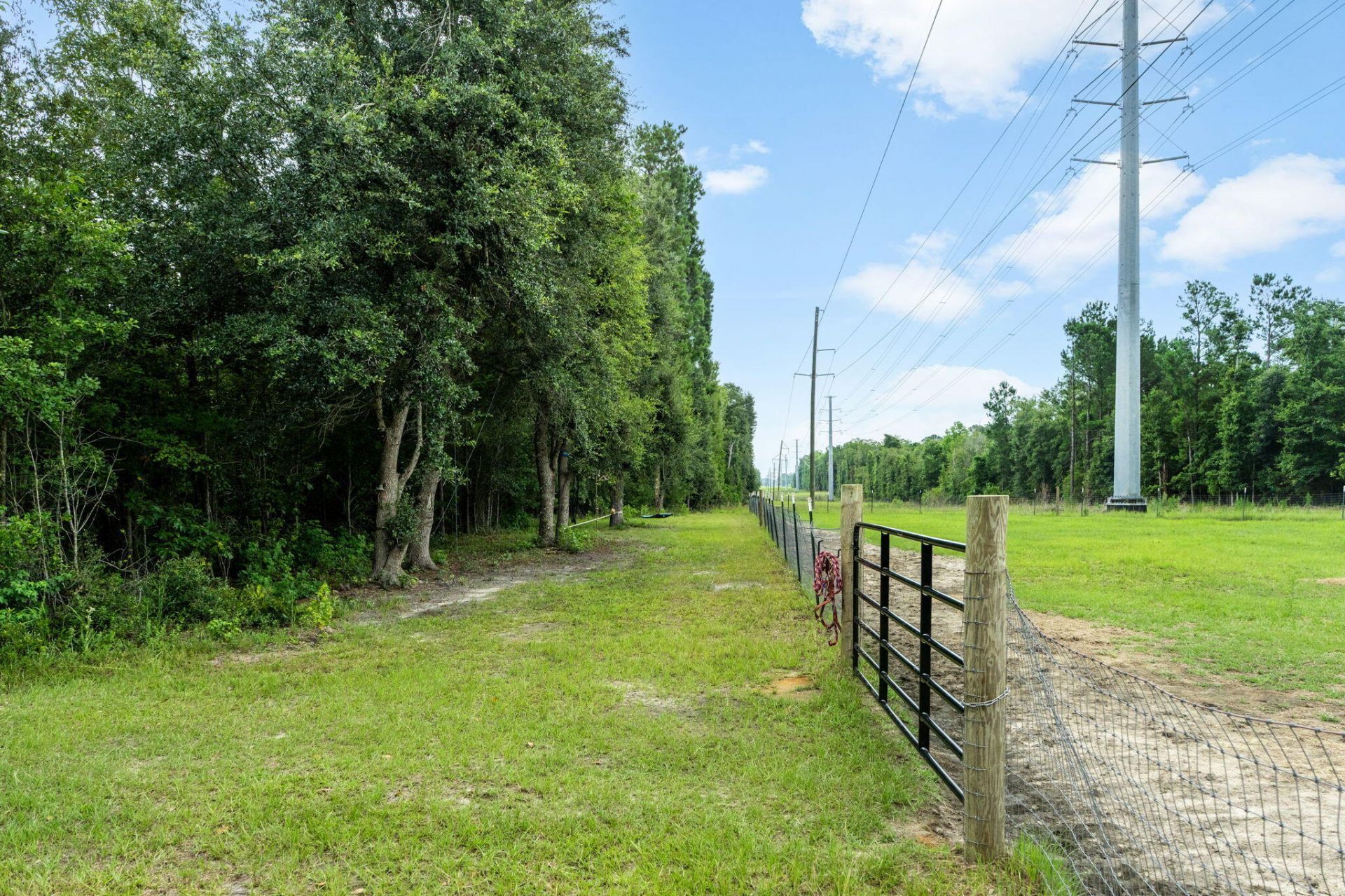 446 Salem Road Photo 5