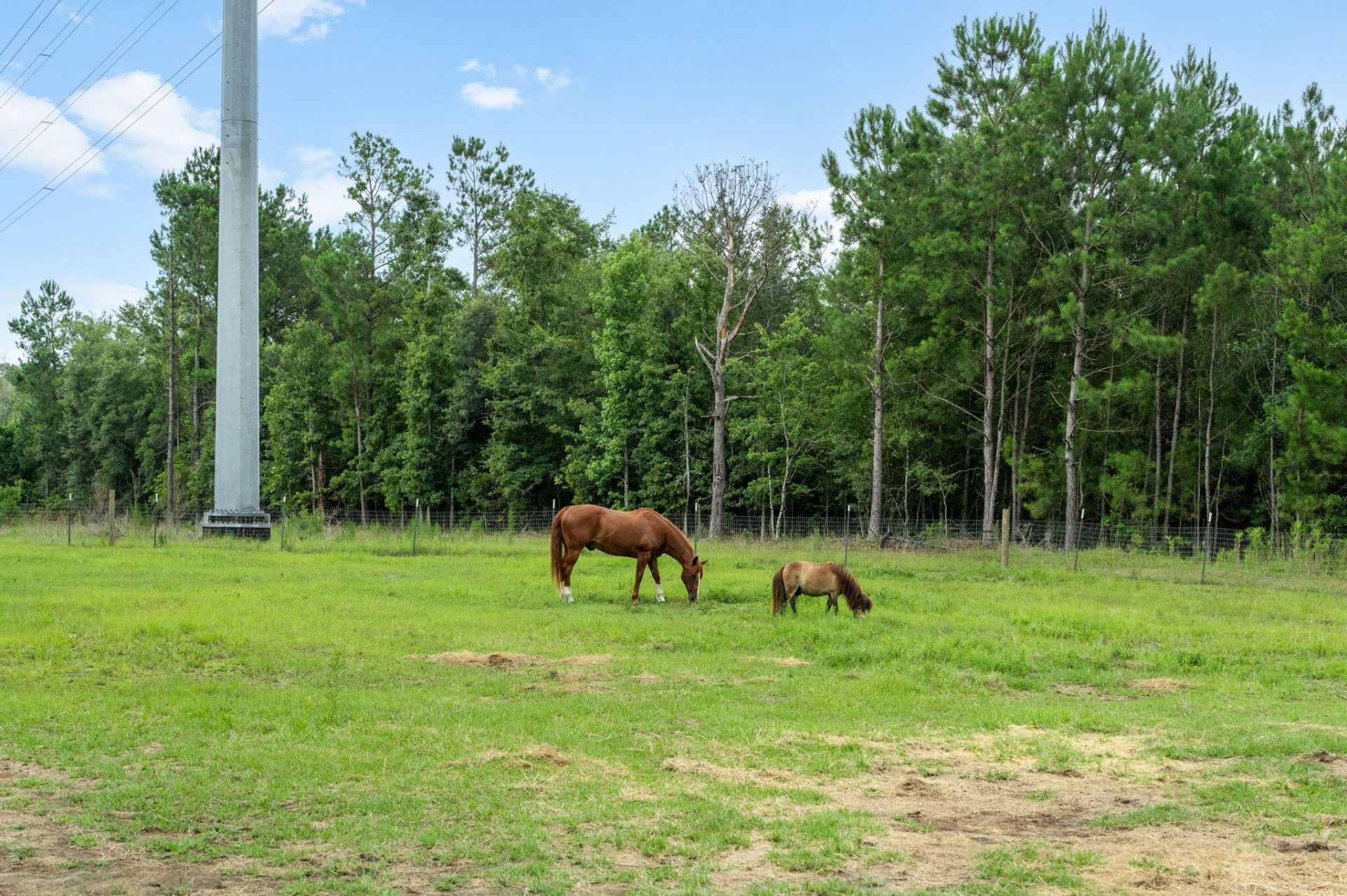446 Salem Road Photo 6