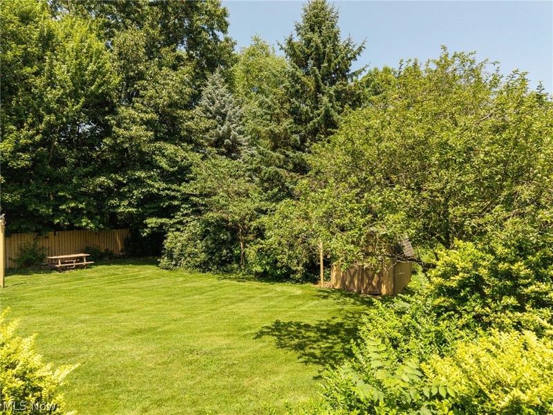 241 Hilltop Drive, Doylestown, OH 44230 Photo 8