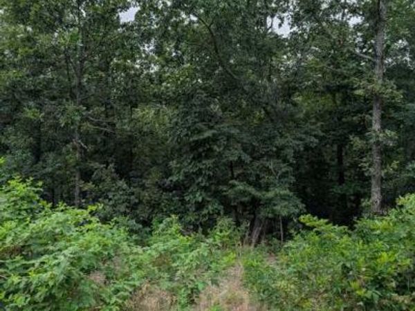 Selkirk Drive , Bella Vista, AR 72715