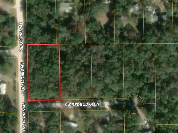 TBD SW SPRUCE ROAD, Fort White, FL 32038