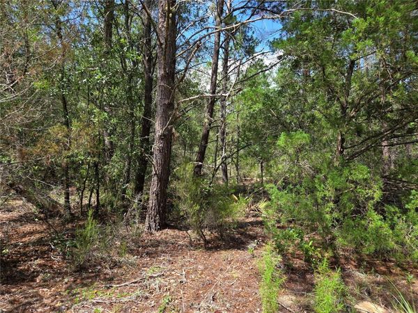 0000 NE 95TH STREET, ARCHER, FL 32618