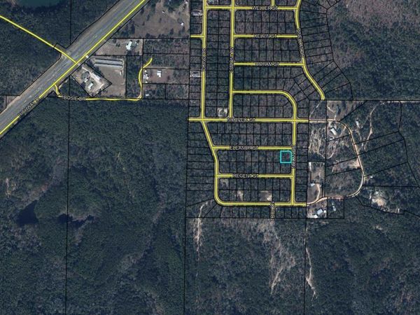 LOT 9 Blk 0317 Eleanor Street , Chipley, FL 32428