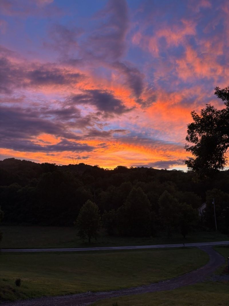 256 Enigma Rd, Chestnut Mound, TN 38552 Main Photo