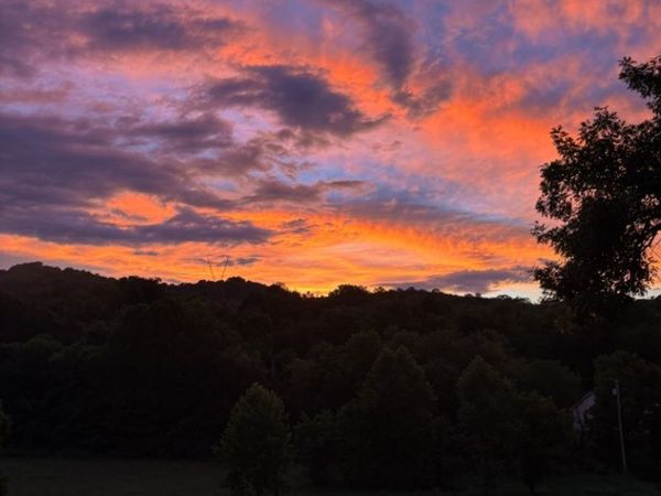 256 Enigma Rd, Chestnut Mound, TN 38552