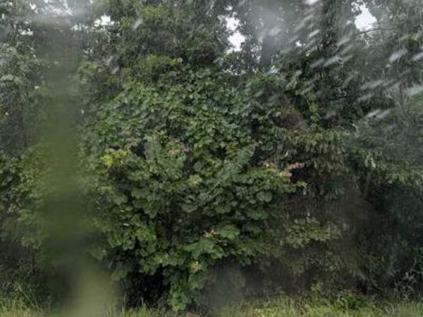 Duns Lane , Bella Vista, AR 72715
