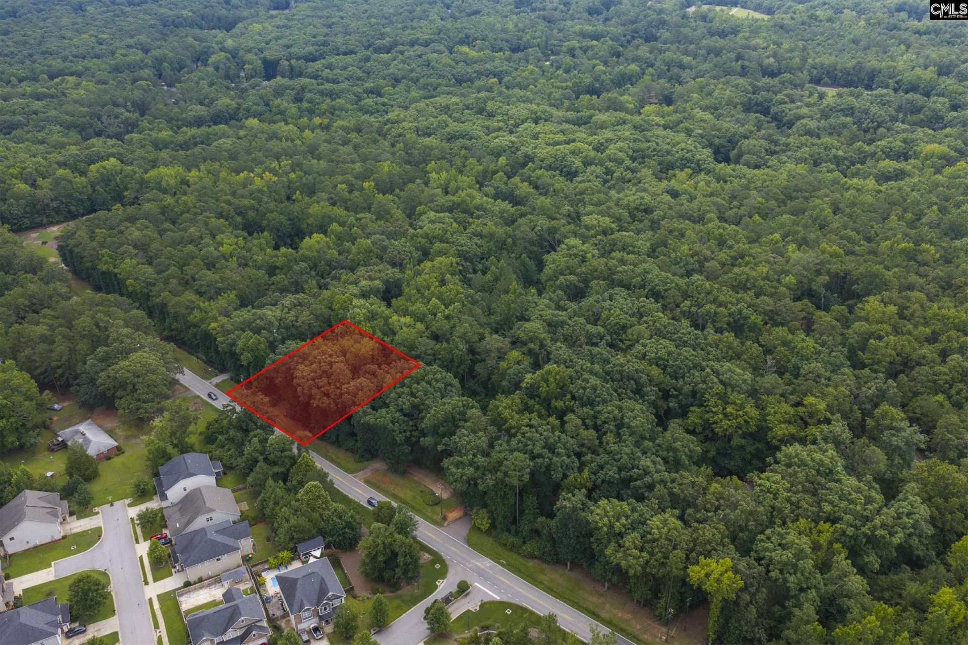 0 Corley Mill Road  Photo 6