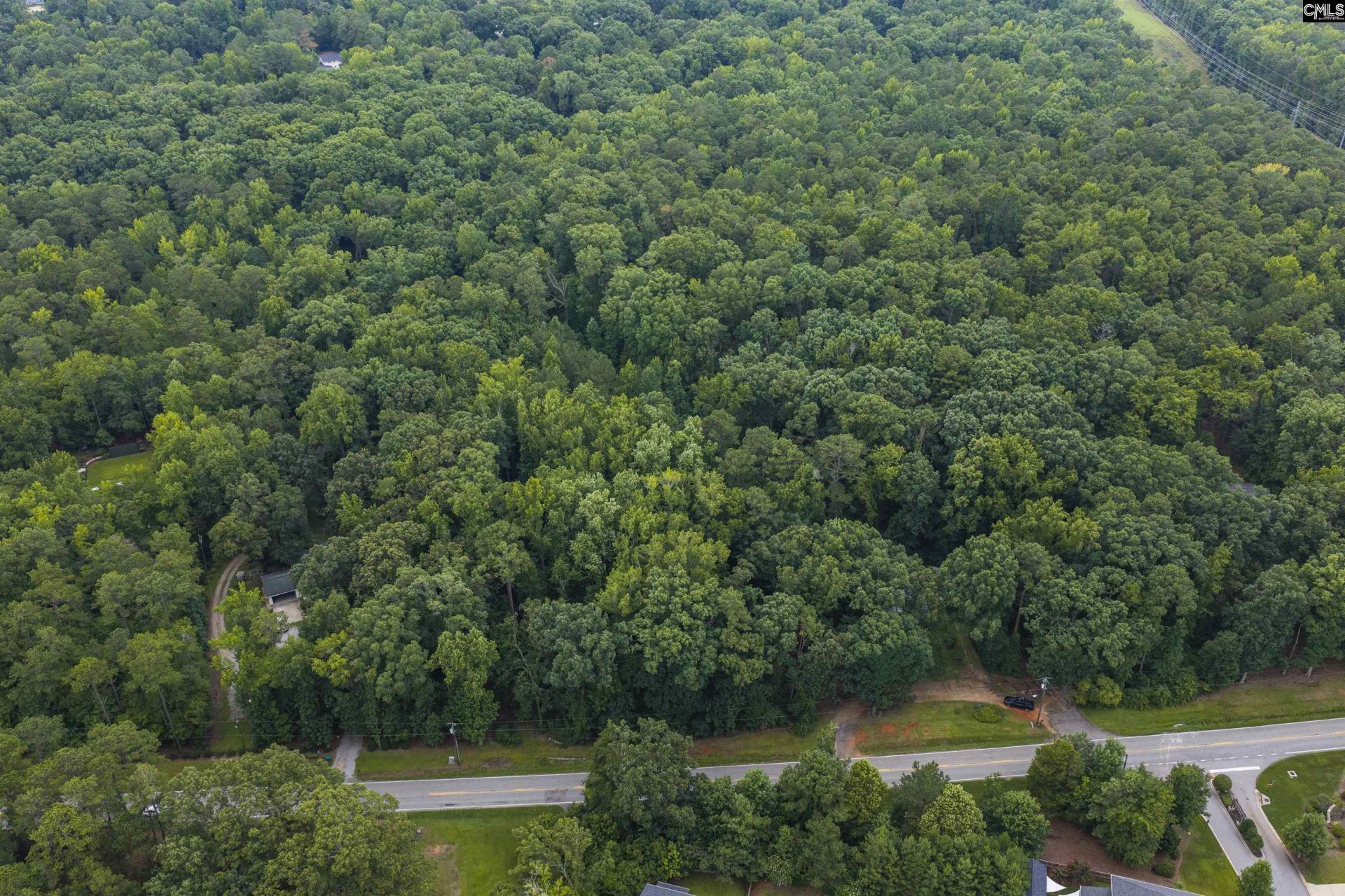0 Corley Mill Road  Photo 8