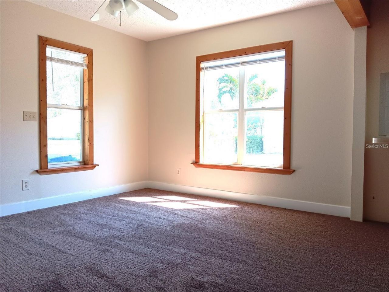 4840 19th Street N, Saint Petersburg, FL 33714 Photo